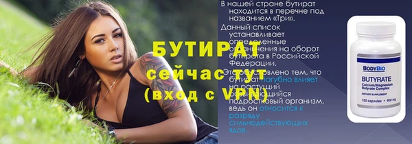 индика Богородицк