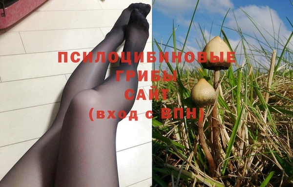 индика Богородицк