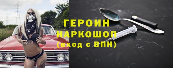 индика Богородицк