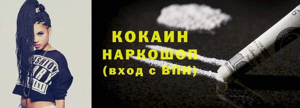 индика Богородицк