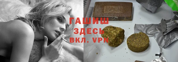 индика Богородицк