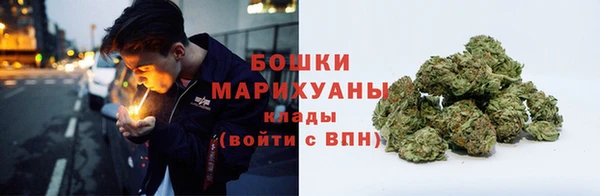индика Богородицк