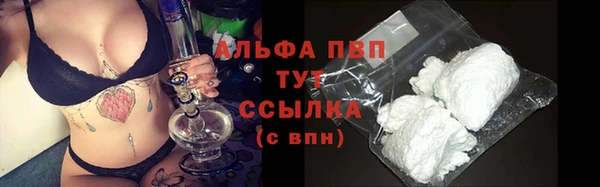 a pvp Белокуриха