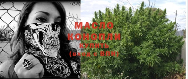 индика Богородицк