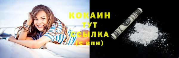 индика Богородицк