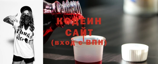 индика Богородицк