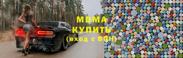 индика Богородицк