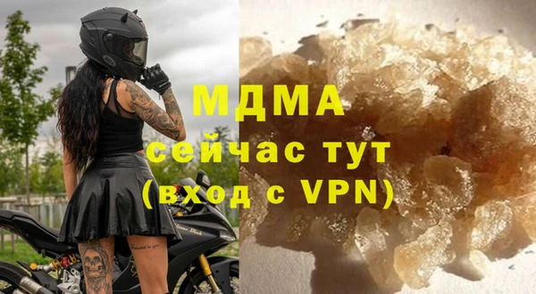 индика Богородицк
