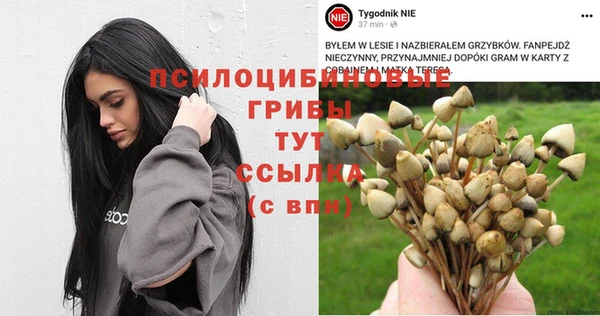 индика Богородицк