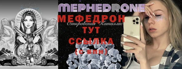 индика Богородицк