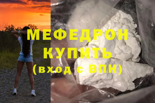 индика Богородицк