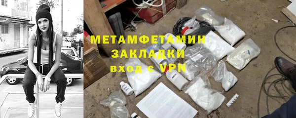 индика Богородицк
