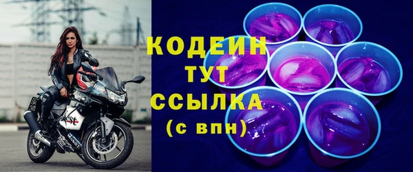 индика Богородицк